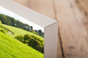 desk blok dierenfotografie