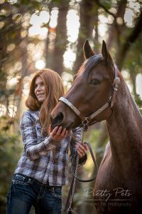 equine photography