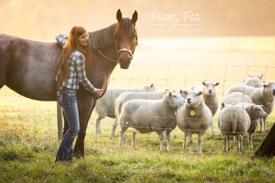 portfolio paardenfotografie