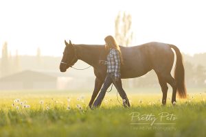 paardenfotografie op locatie