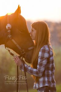 paardenfotografie bij avond