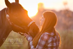 paardenfotografie zonsondergang