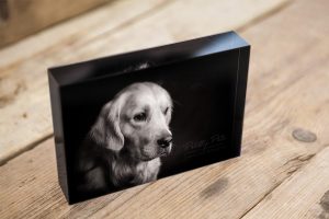 acrylblok hondenfotografie