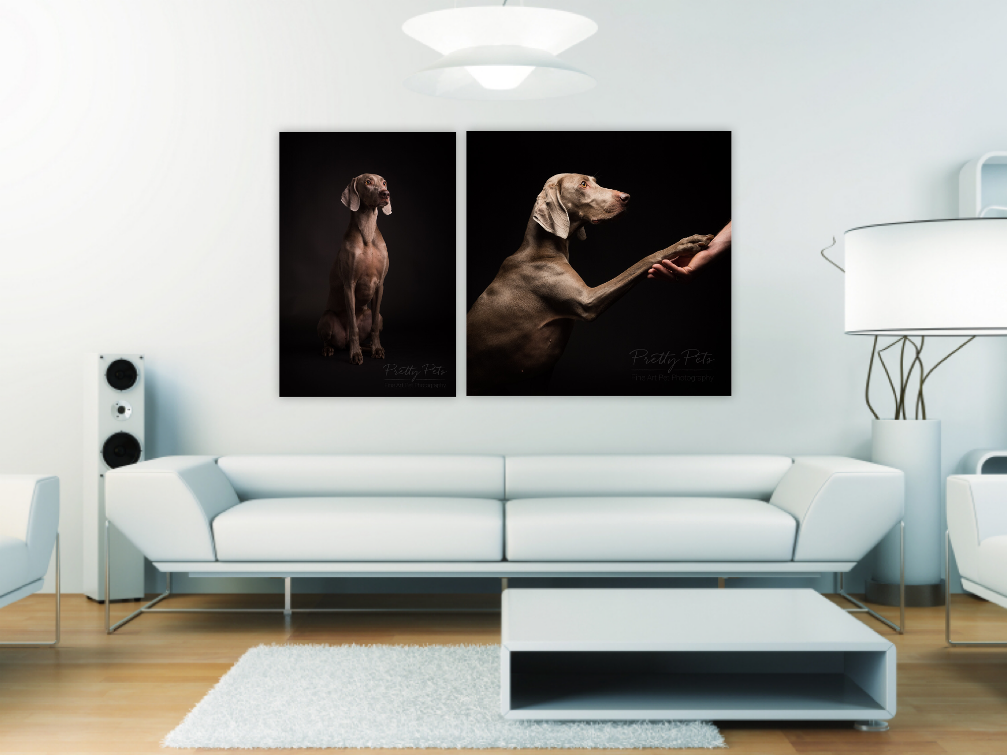 wandcollectie hondenfotografie Weimaraner