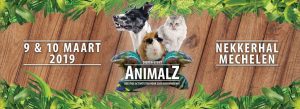 Animalz 2019